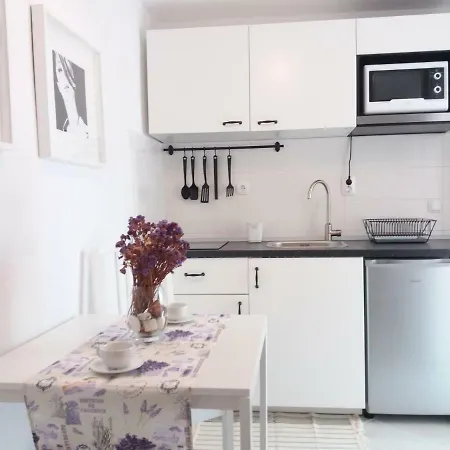 Apartament Anica *